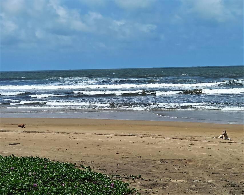 Cockerel Homestay - Traditional Beach Village - Goa Canacona Εξωτερικό φωτογραφία